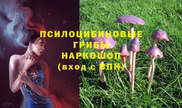 крисы Осташков