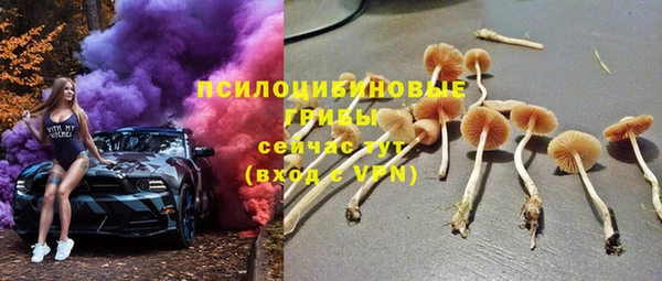 дживик Беломорск