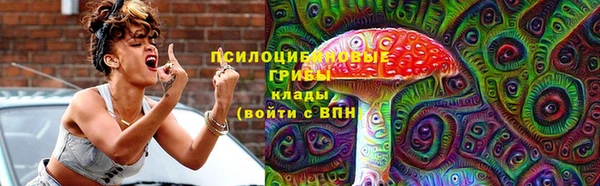 дживик Беломорск