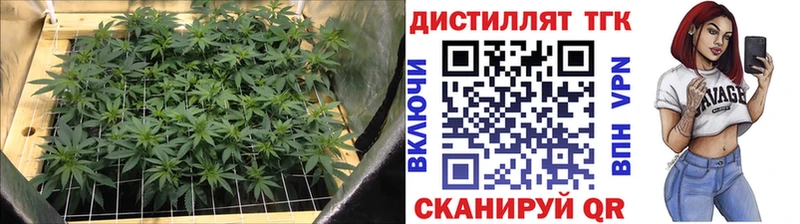 ТГК вейп с тгк  наркота  Тулун 