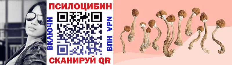 Галлюциногенные грибы прущие грибы Тулун